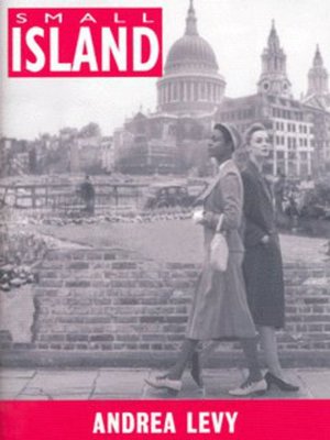 cover image of Small island
